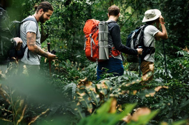 Leia mais sobre o artigo Roteiro de Ecoturismo em Araguaína: Cachoeiras, Parques e Natureza Exuberante